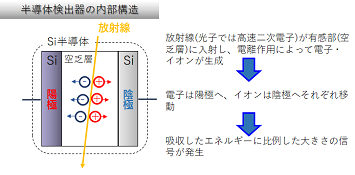 半導体検出器の内部構造